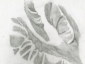 FigureStudies04