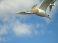 Photography08